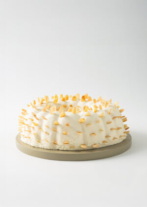 Mousse de queso